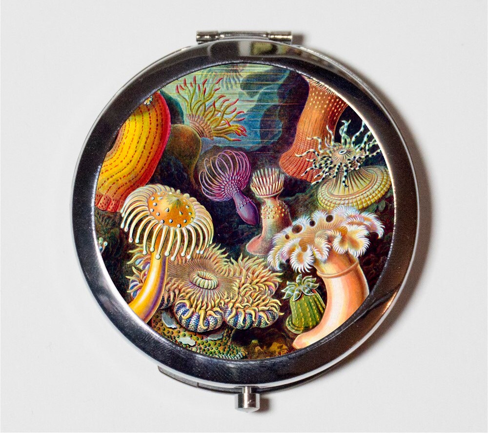 Sea Creatures Compact Mirror - Victorian Haeckel Underwater Plants Biology - Make Up Pocket Mirror for Cosmetics