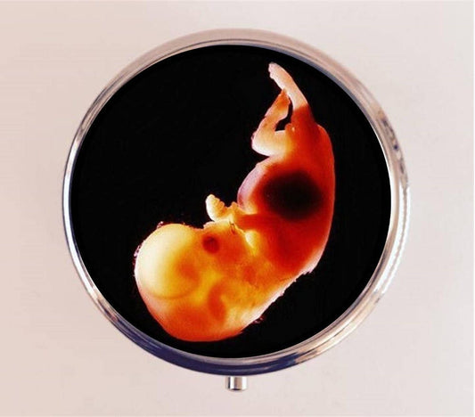 Fetus Pill Box Case Pillbox Holder Stash Trinket Box Oddity Birth Ultrasound Image