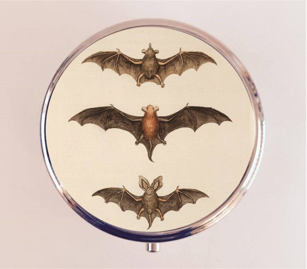 Victorian Bat Pill Box Case Pillbox Holder Trinket Stash Box Goth Gothic Halloween Bats