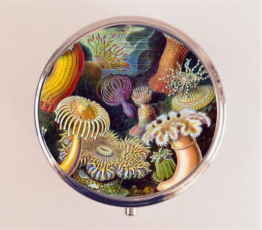 Victorian Sea Creatures Pill Box Case Pillbox Holder Trinket Stash Box Jellyfish Haeckel