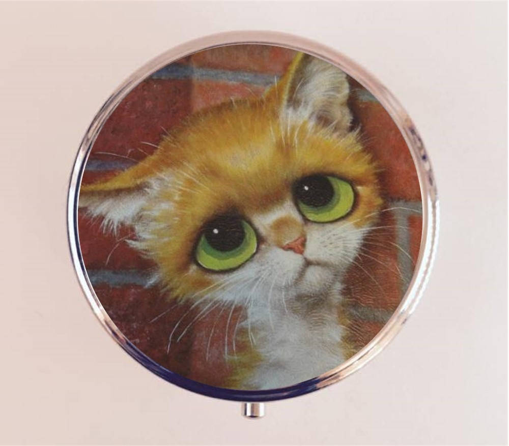 Big Eyed Cat Pill Box Case Pillbox Holder Trinket Stash Box Big Sad Eyes Pity Kitty Kawaii