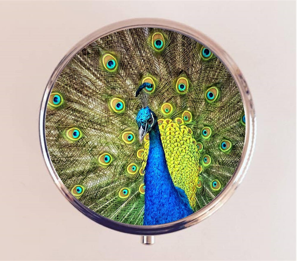 Peacock Bird Pill Box Case Pillbox Holder Trinket Stash Box Feathers Birds