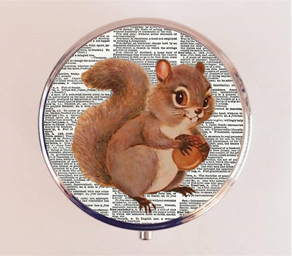 Squirrel Pop Art Pill Box Case Pillbox Holder Trinket Box Dictionary Animal Art Woodland Creatures