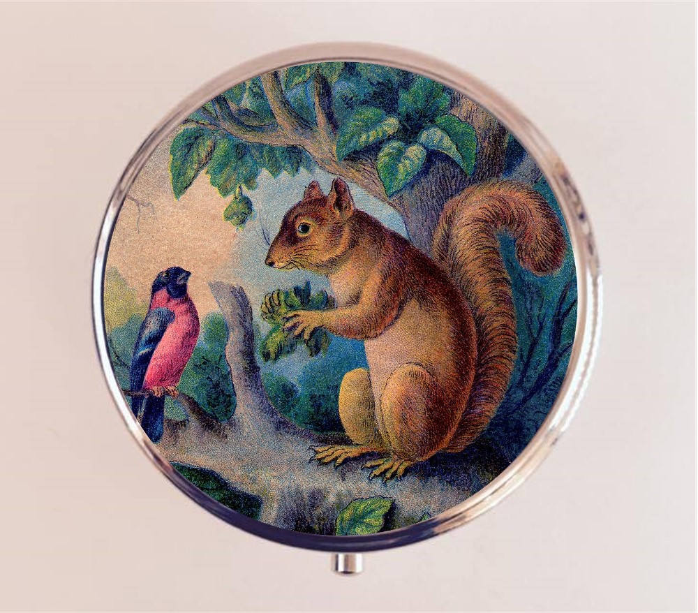 Squirrel Pill Box Case Pillbox Holder Trinket Box Animal Art Woodland Creatures