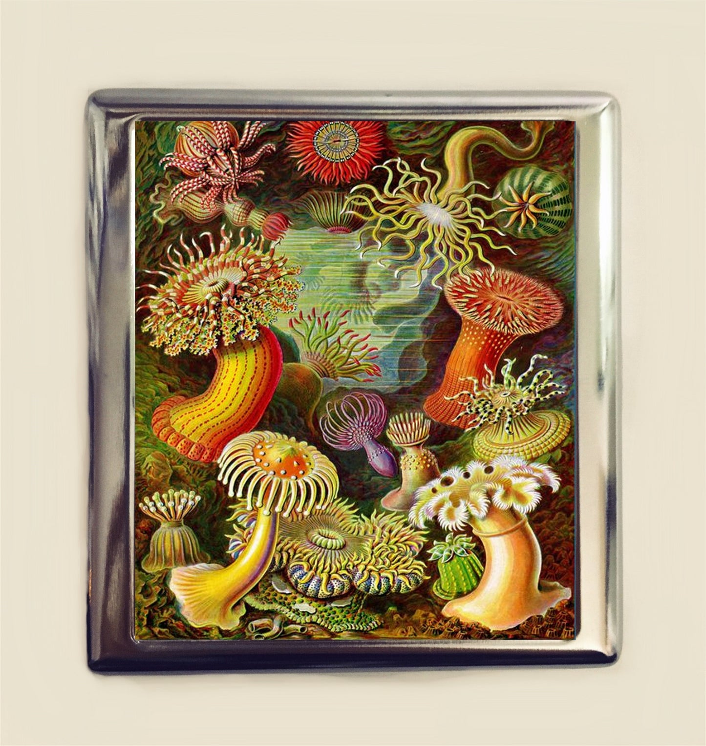 Ernst Haeckel Sea Anemone Cigarette Case Business Card ID Holder Victorian Sea Creatures Marine Life Biology