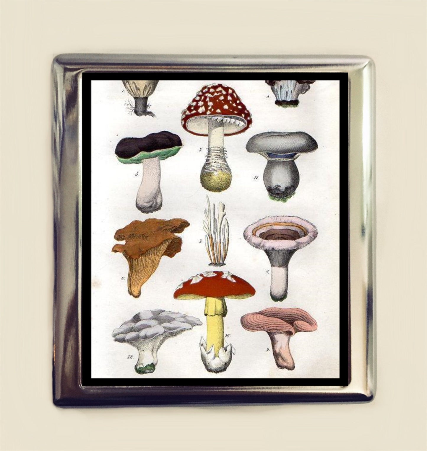 Mushroom Cigarette Case Business Card ID Holder Mycology Fungus from Vintage Lithograph Fungi