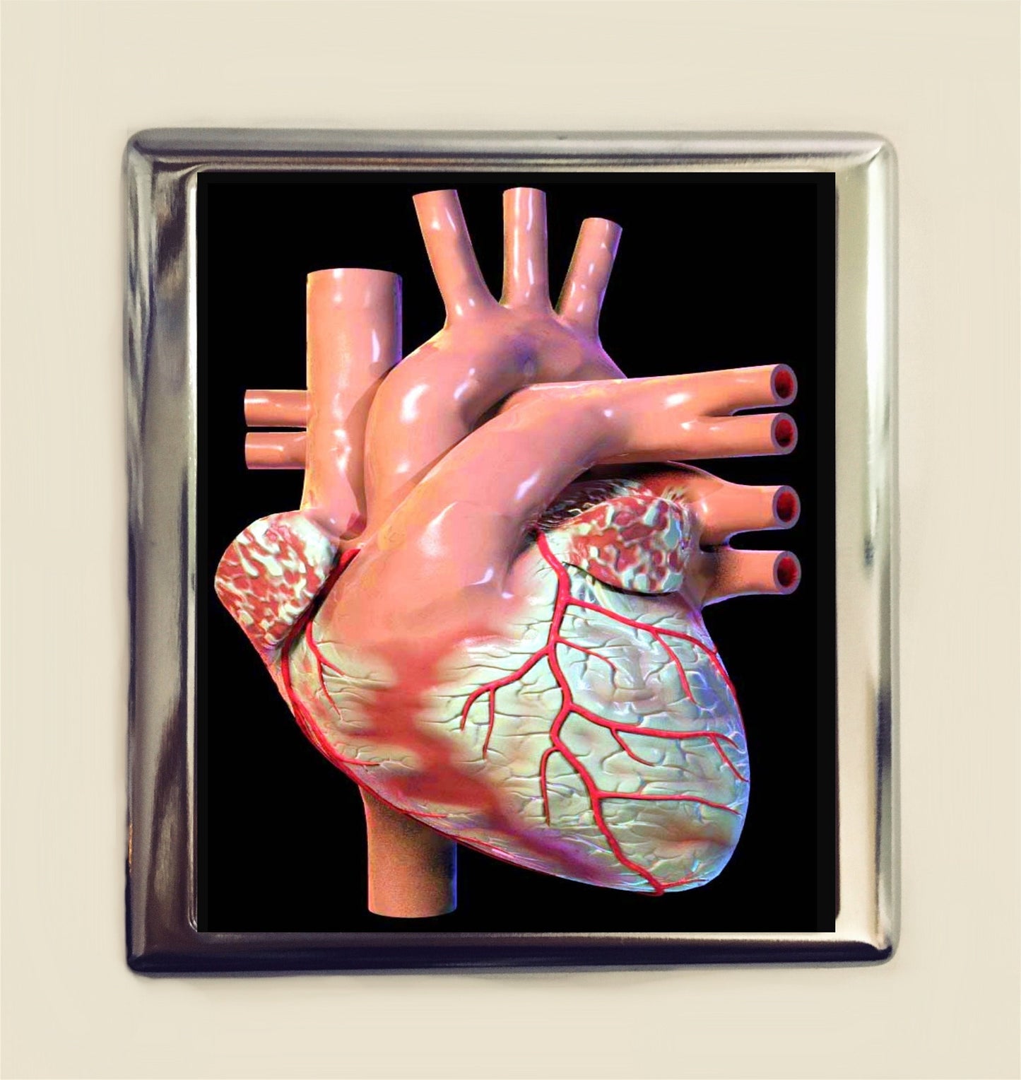 Anatomical Heart Cigarette Case Business Card ID Holder Wallet Human Anatomy Medical