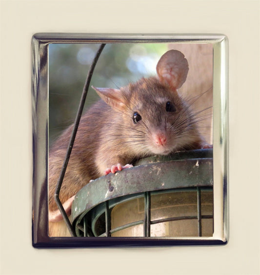 Rat Cigarette Case Business Card ID Holder Pet Rats Animal Art Rodent