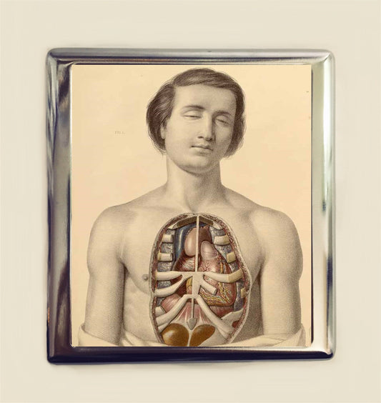 Victorian Anatomy Cigarette Case Business Card ID Holder Wallet Anatomical Medical Antique Image Oddity