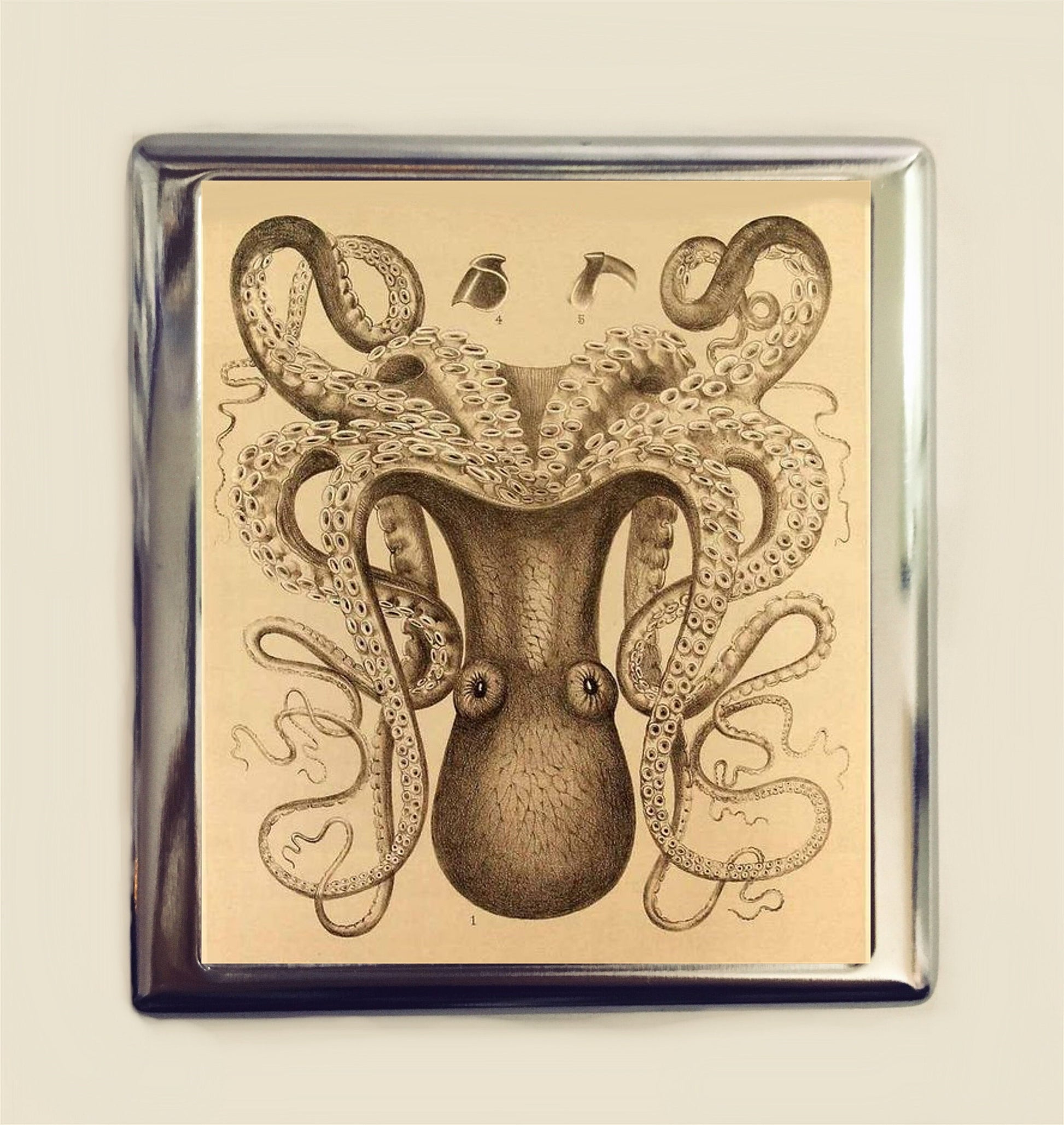 Ernst Haeckel Octopus Cigarette Case Business Card ID Holder Victorian Sea Creatures Marine Life Biology