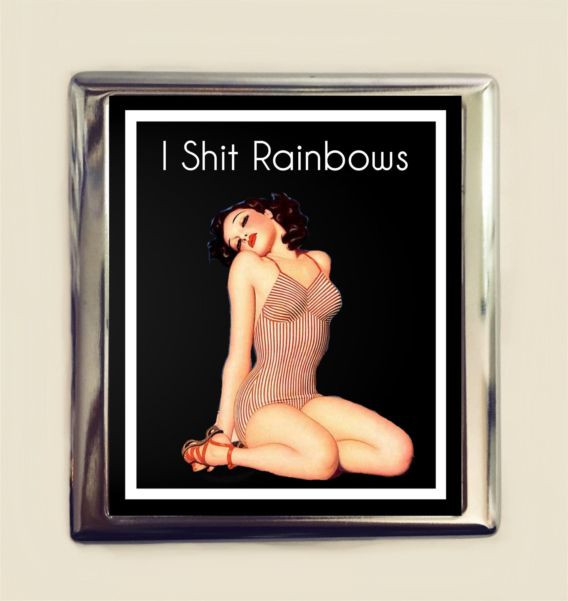 I Shit Rainbows Cigarette Case Business Card ID Holder Wallet Pinup Girl Pin Up Funny Retro Humor Bad Girl MATURE