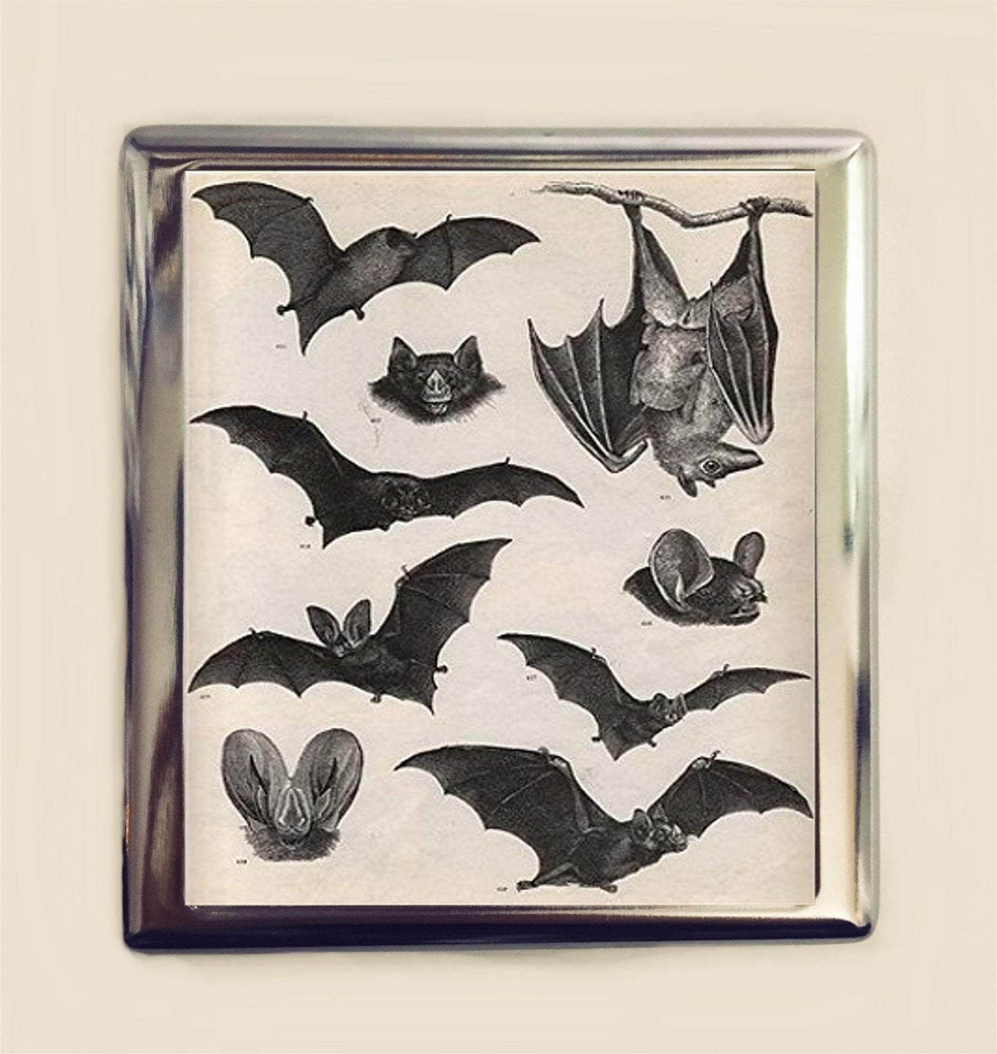 Victorian Bat Cigarette Case Business Card ID Holder Wallet Bats Goth Gothic Dark Art Vampire