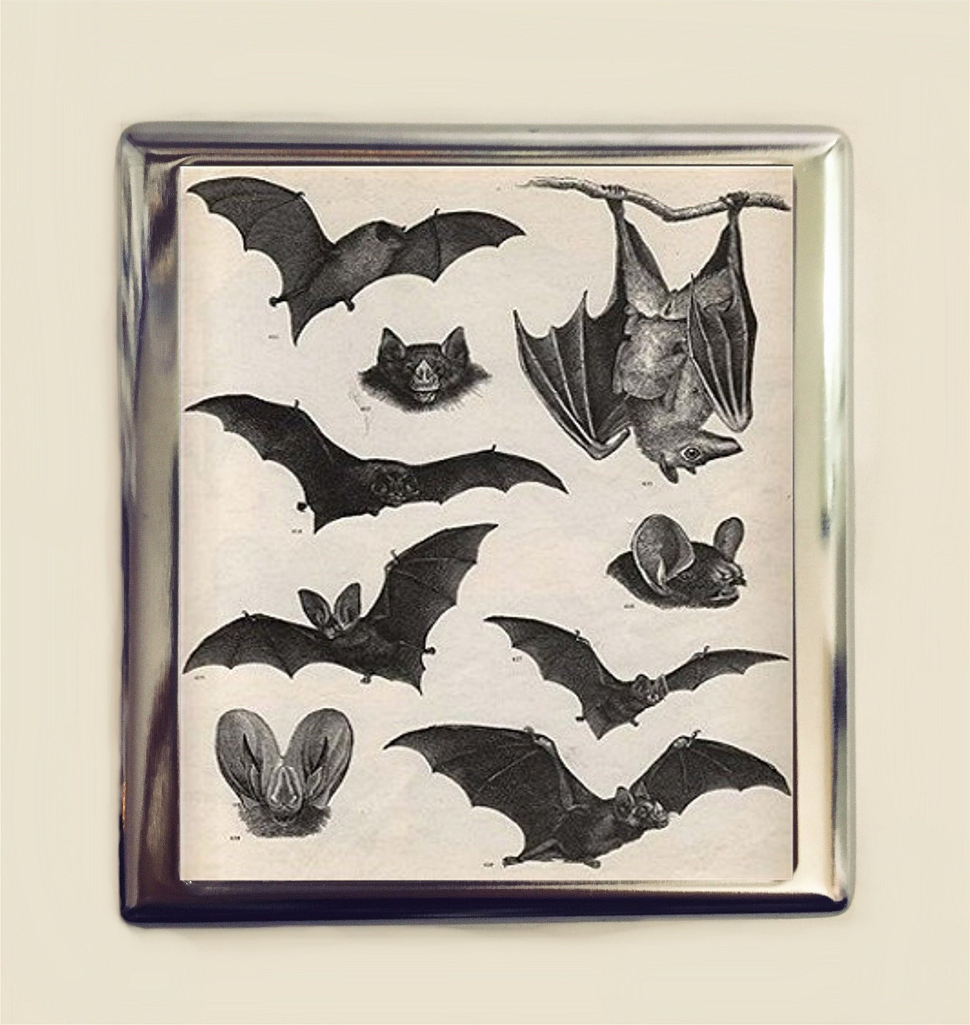 Victorian Bat Cigarette Case Business Card ID Holder Wallet Bats Goth Gothic Dark Art Vampire