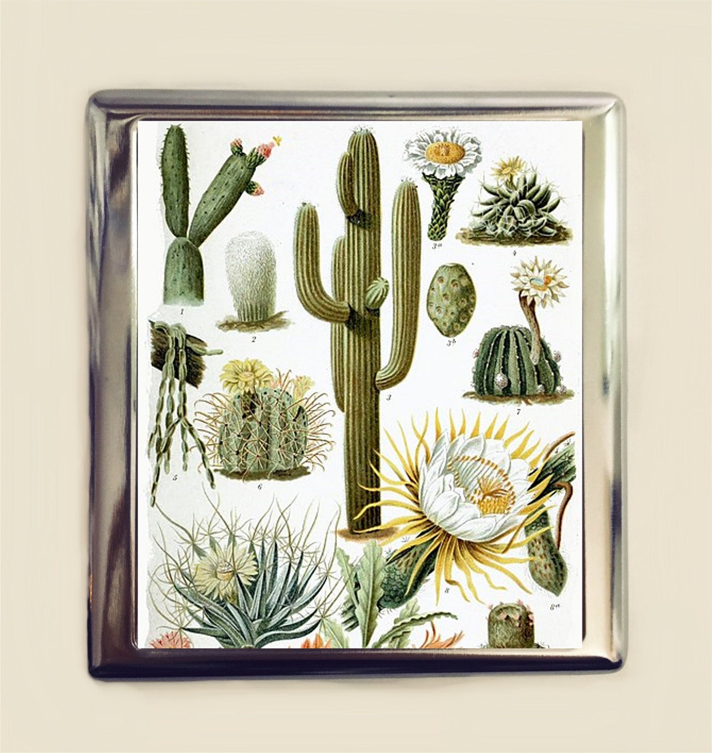 Cactus Cigarette Case Business Card ID Holder Wallet Victorian Litho Desert Plant