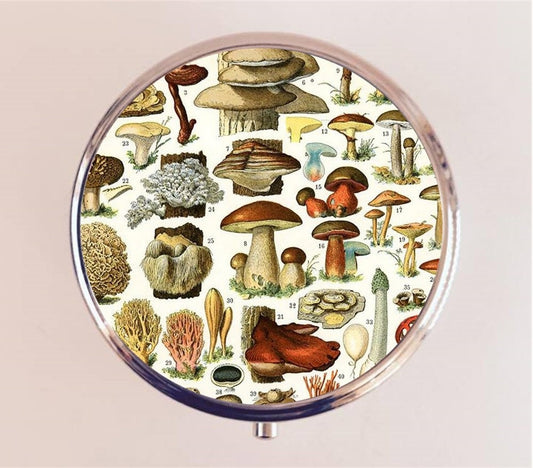 Victorian Mushroom Pill Box Case Pillbox Holder Stash Trinket Box Mushrooms Shrooms Mycology Fungus