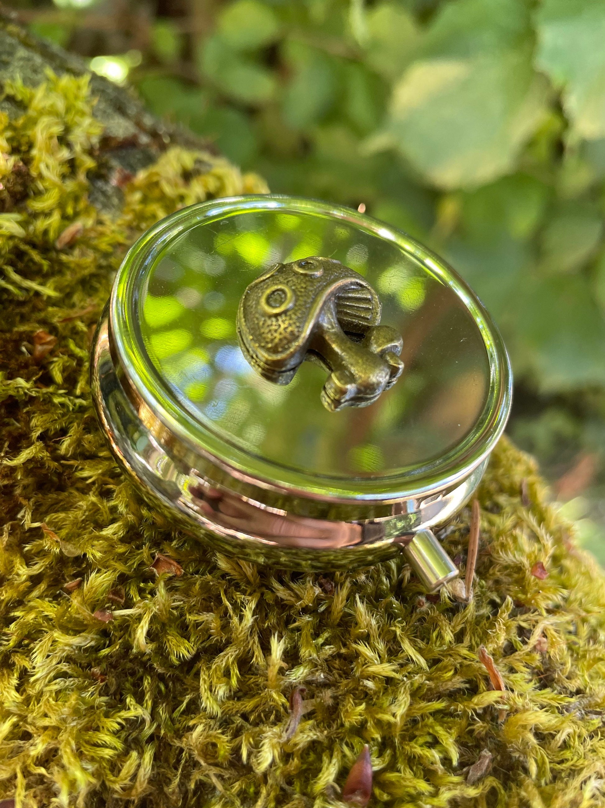 Whimsical Mushroom Pill or Stash Box Case Holds Trinkets and More Compact Size