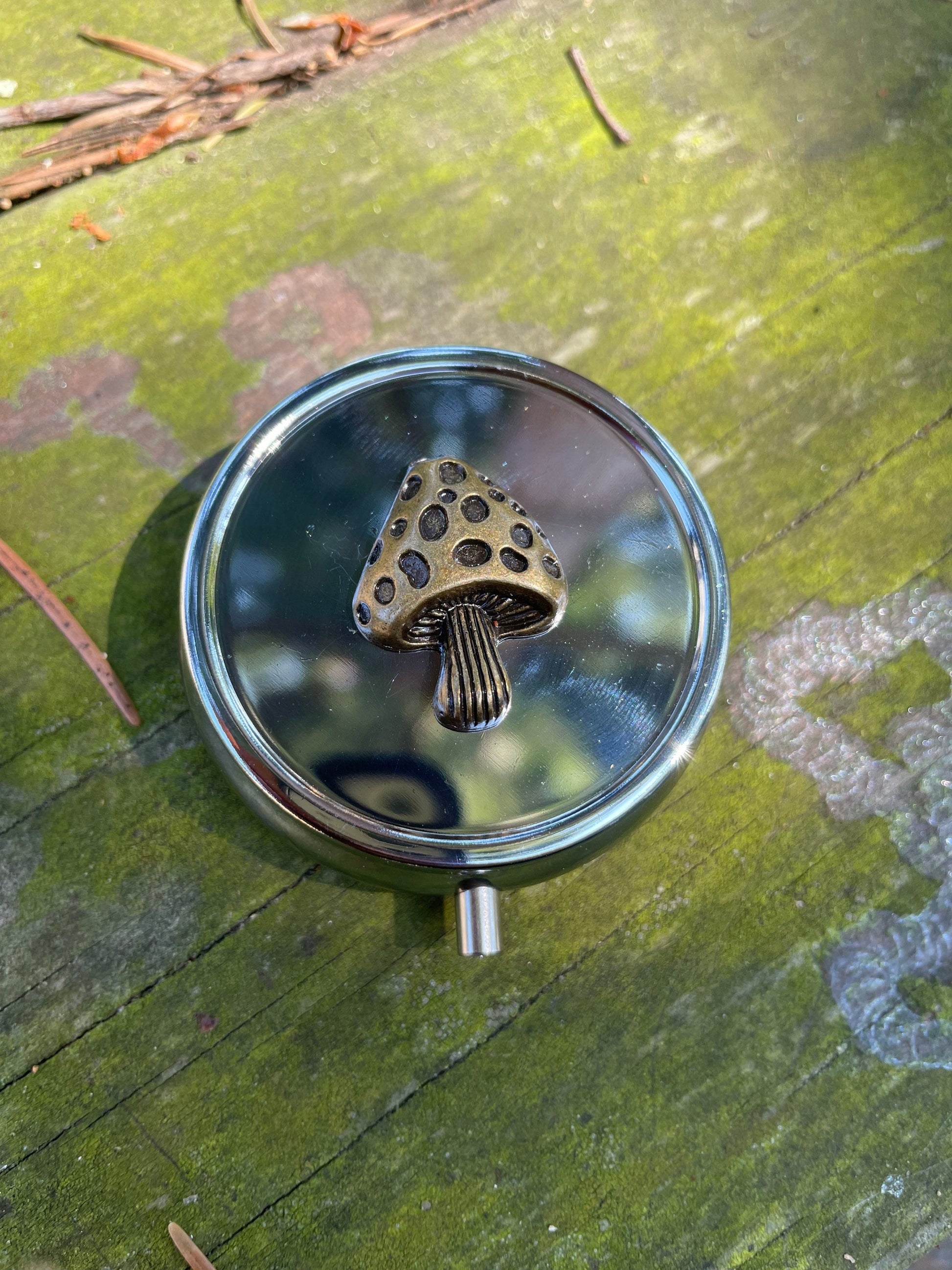 Whimsical Mushroom Pill or Stash Box Case Holds Trinkets and More Compact Size Amanita