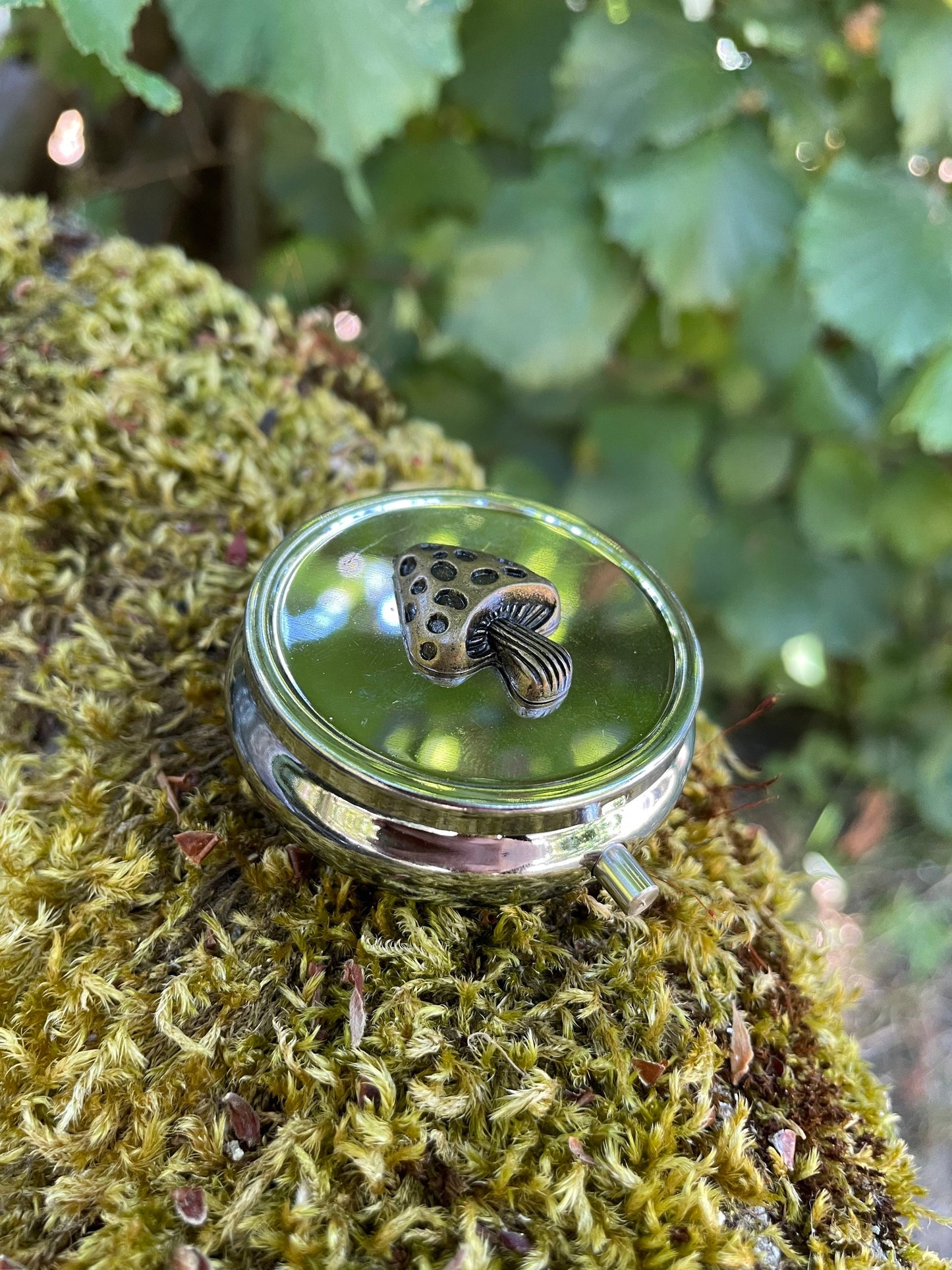 Whimsical Mushroom Pill or Stash Box Case Holds Trinkets and More Compact Size Amanita